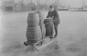 Cold Prints: Germanys gold snap. The Spreewald is in the grip of a severe cold snap. This wooded