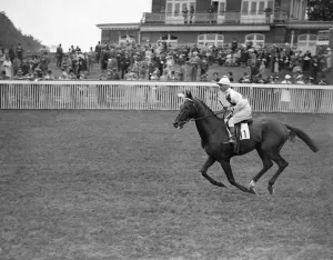 Horses Prints: Giftlaw at Goodwood Racecouse. 1937