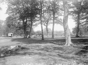 Gipsy encampment in New Forest. Travellers Romany Gypsy Gipsy gypsies Roma