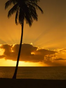 Romantic Prints: Girl on Antiguan beach at sunset