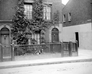 London Prints: Glass Plate Mono Negative