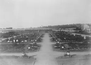 The Glorious British Dead in Belgium A view of the Liege Cemetary in which