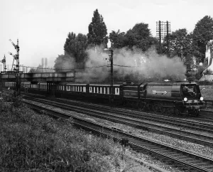 Golden Arrow steam train