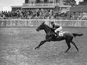 Spectators Prints: Goodwood Sussex England Bibi Sultan 1938 A TopFoto