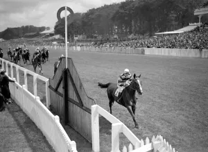 Spectators Prints: Goodwood Sussex England Bombay Duck winning the Craven Stakes