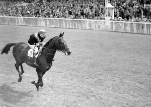 Gallop Prints: Goodwood Sussex England Buckleigh 1938 A TopFoto
