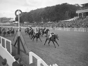 Spectators Prints: Goodwood Sussex England Finish of the Stewards Cup won by Harmachis