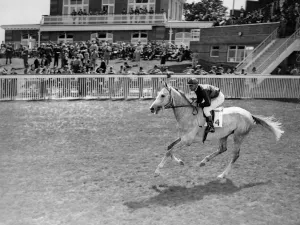 Gallop Prints: Goodwood Sussex England Hurry De Savoie 1938 A TopFoto