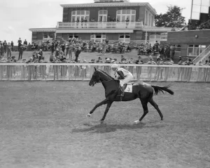 Gallop Prints: Goodwood Sussex England J Accours 1938 A TopFoto