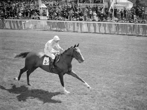Spectators Prints: Goodwood Sussex England Titan 1938 A TopFoto