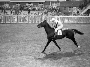 Rider Prints: Goodwood Sussex England Valedictory 1938 A TopFoto
