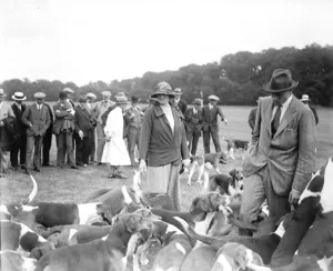 Goodwood Week Polo Starts At Cowdray Park, West Sussex, Lady Burrel and the hounds