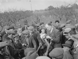 Show Prints: Grafting demonstrations. 1935