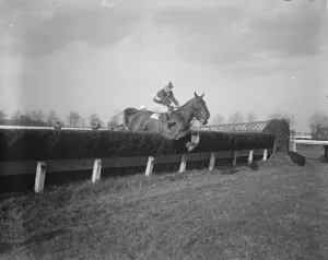 Grand National favourite wins at Gatwick. Silvo, the nominal favourite for