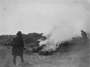 Great common fire near Eastbourne. A great common fire laid waste acres of heath