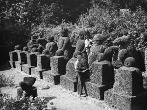 A groundsman trims the topiary figures at Hever Castle. 1938