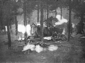 The gypsies are leaving their hundred year old settlement on Hurtwood Hill in Surrey