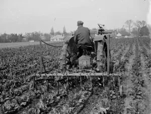 Tractor Prints: Harrowing. 1935