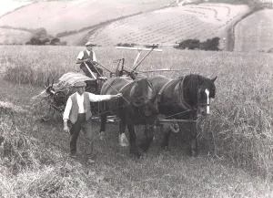 Autumn Prints: Harvest time in Cornwall