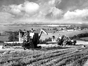 Farming Collection: Harvest time on the South Downs. Combine harvesters at work on the Golden Barn