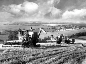 Farmer Prints: Harvest time on the South Downs. Combine harvesters at work on the Golden Barn