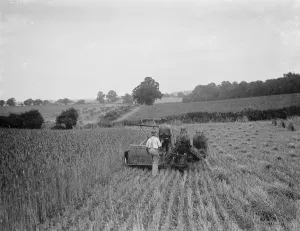 Farming Prints: Harvesting. 1937
