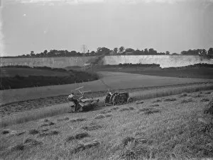 Machine Collection: Harvesting wheat. 1937