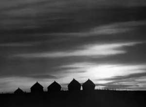 Fence Prints: Haystacks TopFoto