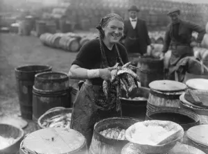 Smiling Prints: Herring harvest at Lowestoft Scotch fisher girls gutting and packing the fish