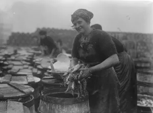 Herring harvest at Lowestoft Scotch fisher girls gutting and packing the fish