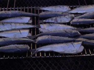 Lifestyle Prints: Herring salted and ready for grilling on a barbecue at the annual open-air herring