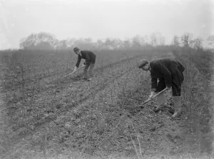 Hoe. 1935