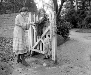 Hanging Prints: Home dyeing and weaving industry at Edgware. Drying the wool on the gate after washing