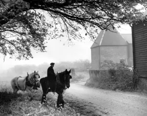 Harness Prints: Home for their mid day meal lunch time returning from the fields November mist Batholomew s