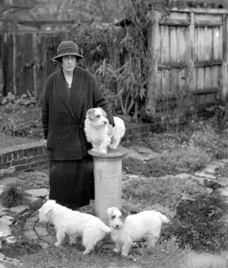 Dogs Prints: Hon Mrs Ronald Fellowes at her Sealyham Kennels Barn Cottage at Merstham. 24 September
