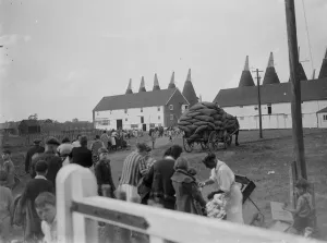 Public Prints: Hop Kilns in Kent. 1935