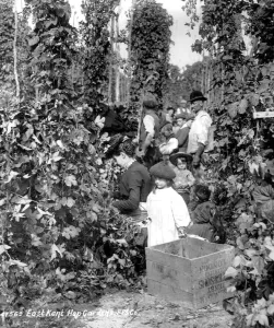 Hop pickers c 1901 Kent