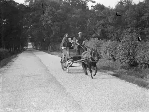 Horse Drawn Prints: Hop pickers en route to a field. 1939