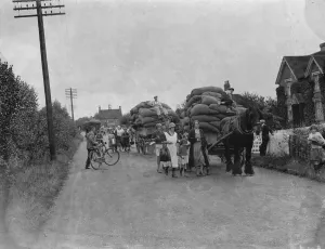 Hop picking. 1935
