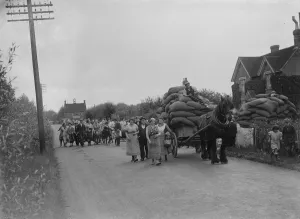 Hop picking. 1935
