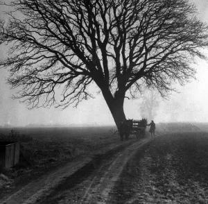 Horse Drawn Prints: Horse and cart with farmer under tree during WW2 - England A TopFoto