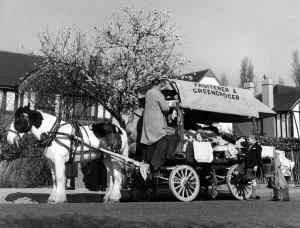 Fruit Prints: Horse-drawn fruiterer and greengrocer on his rounds in 1955