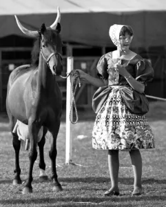 Horns Prints: Horse Show Gymkana Fancy Dress