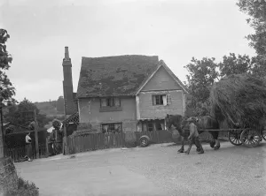 Horse and haycart make their way down Sparepenny Lane, Tollgate, Eynsford, Kent