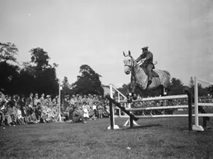 Horse jumping 1937