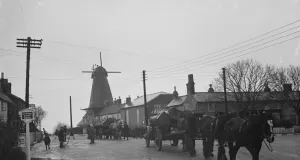 Timber Prints: Horse teams tow tree trunks away from the windmill. 1936