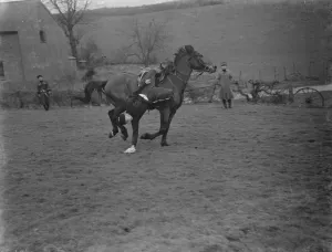 Horse trick riding in Eynsford, Kent. Hanging from the stirrup and picking an