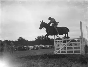 A horse show in Westerham, Kent. The show jumping competition. 1936