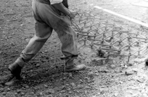 Rake Prints: Horsedrawn harrow TopFoto