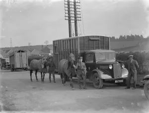 Pylon Prints: Two horses being led away from a Bedford truck horse box. 1936